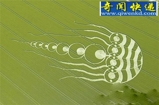 怪圈研究的新突破,是时空混乱的产物?