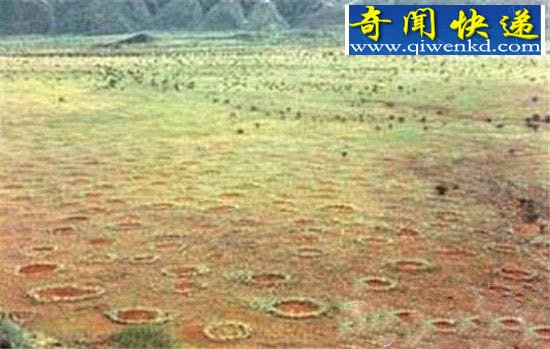 动物十大未解之谜 龙源自尼罗河鳄鱼是真是假?