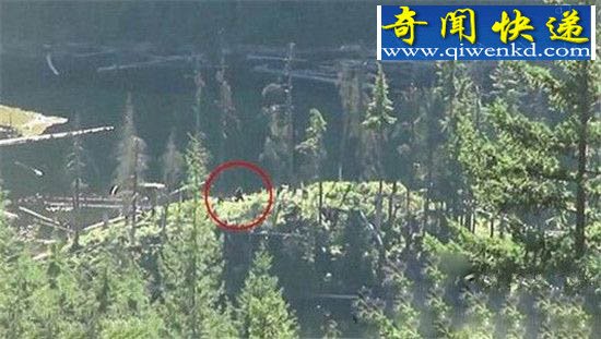 动物十大未解之谜 龙源自尼罗河鳄鱼是真是假?