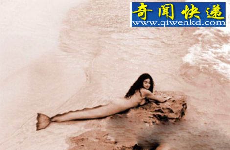 揭秘“美人鱼”究竟藏身何处?