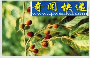 999个未解之谜(图文)