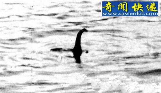 真相,尼斯湖水怪是世界上最后一只恐龙!