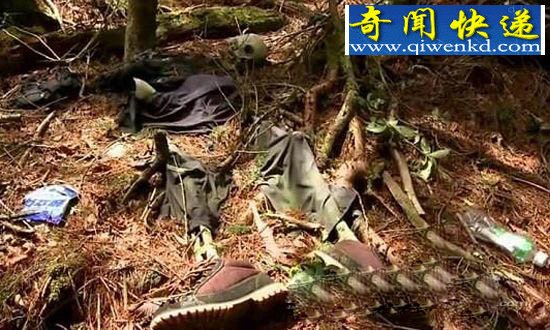 至今仍笼罩在神秘之中,乐山黑竹沟之谜