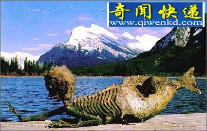 ͼȫĲź̵㣺ʹͷǻʯ