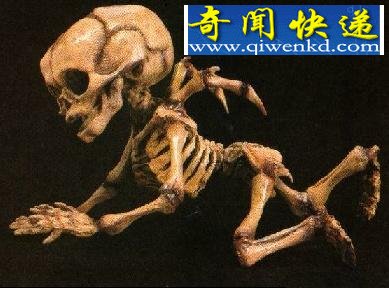 ͼȫĲź̵㣺ʹͷǻʯ