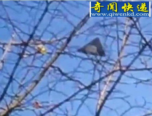 ӢСϿUFO 7ɵӢ