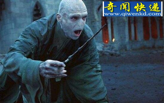 伏地魔的七个魂器,把自己的灵魂分裂成八块