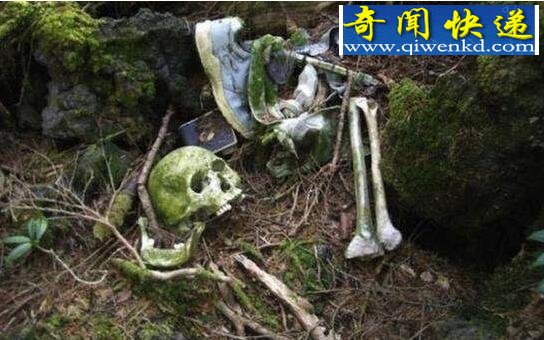 日本自杀森林,漫山遍野的陈尸(每年数百人自杀)
