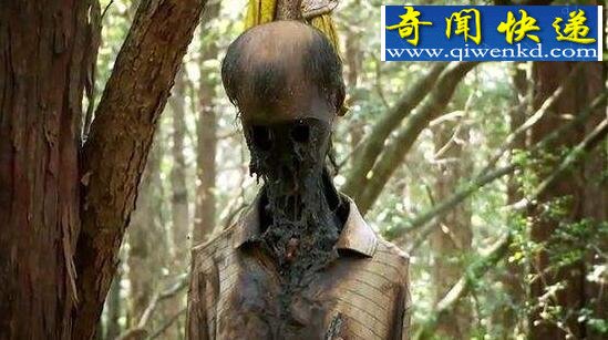 日本自杀森林,漫山遍野的陈尸(每年数百人自杀)