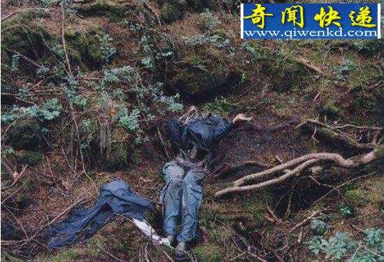 日本自杀森林,漫山遍野的陈尸(每年数百人自杀)