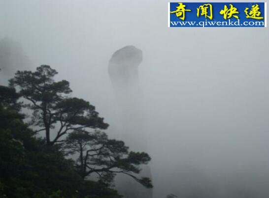 95年安徽巨蟒渡劫事件,渡劫失败被雷劫劈死