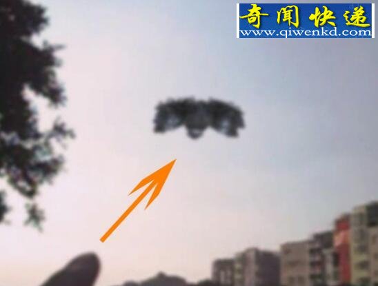 830᯴ufo¼Ƶ
