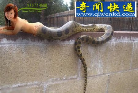 ޵ͼƬ:ͷŮ(ͼ)