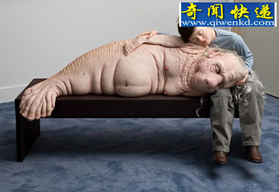 𣬷˼˾ֻ