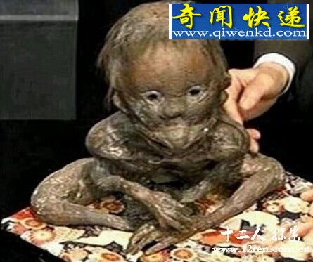 أ㶫ˮץһֻŮǹ