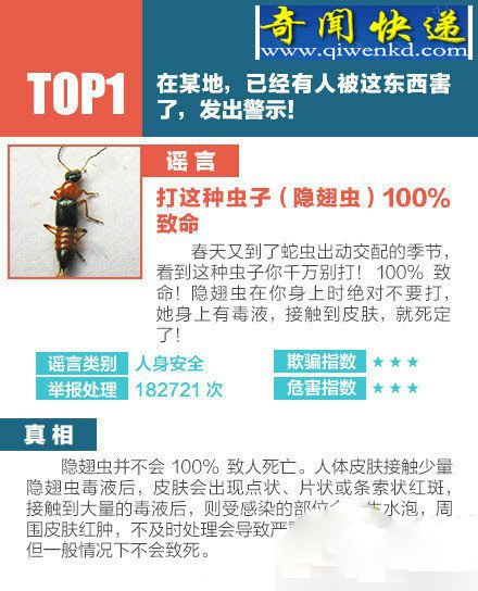 蒙骗亿万国人的10条谣言:龙虾是不是虾?