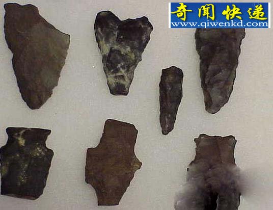 人类的脱毛史近数万年:简直惨不忍睹