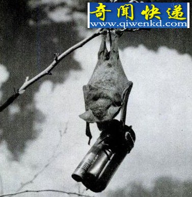 սеĶţзˮѵ