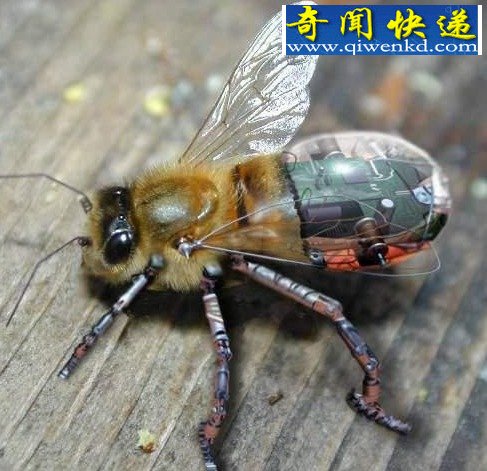 սеĶţзˮѵ
