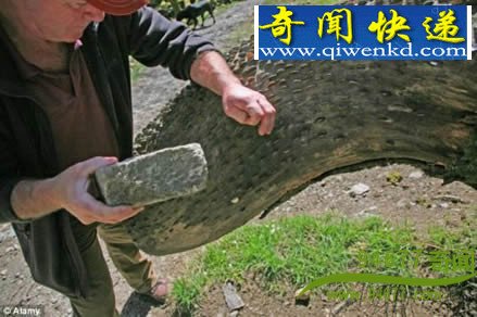 ӢҡǮ Ӳ ʷǰǿ׳