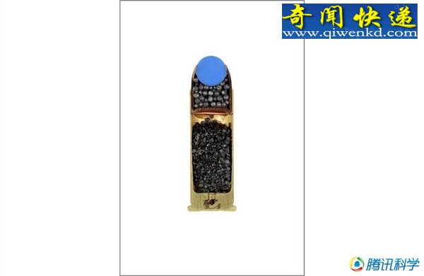 子弹剖面图揭杀人凶器另类美
