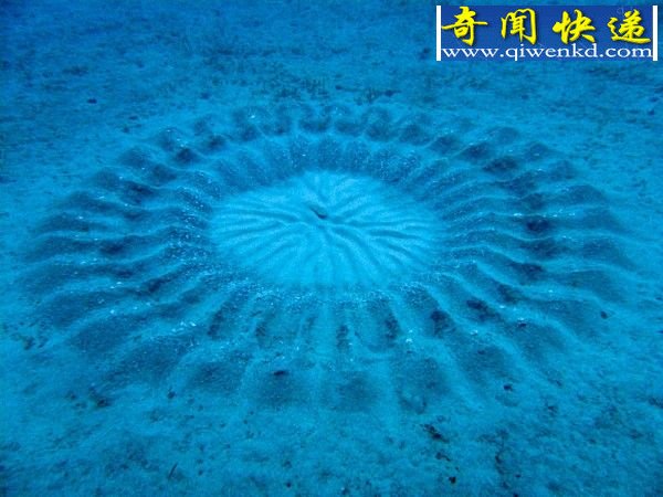 ຬ綾 ʳú佩ʬ