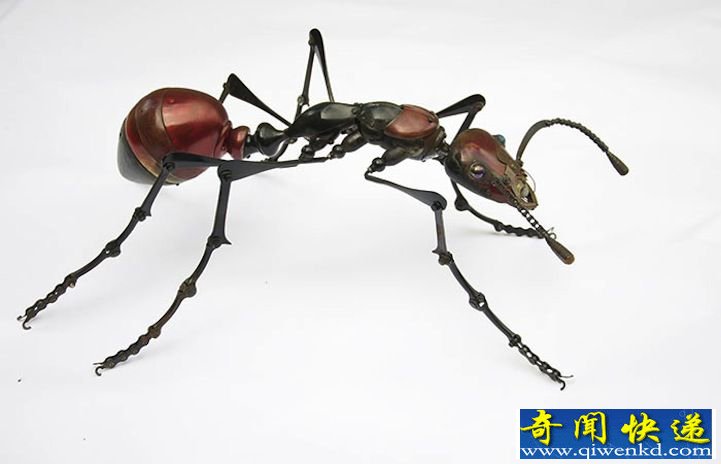 金属垃圾造精致昆虫雕塑