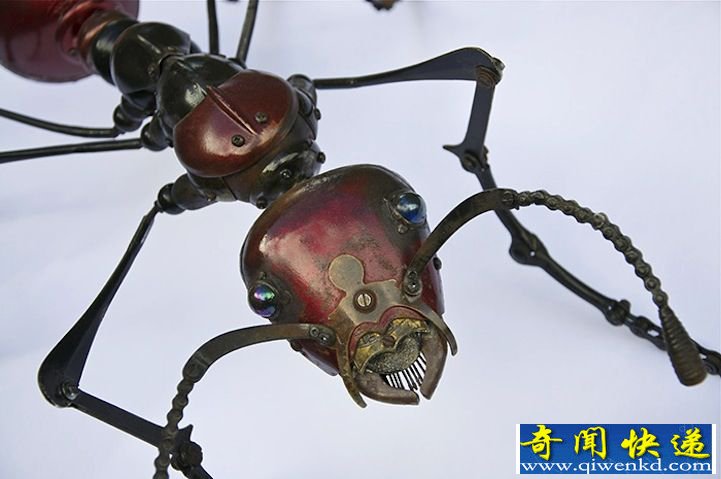 金属垃圾造精致昆虫雕塑