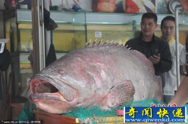 ڱ庣һ105