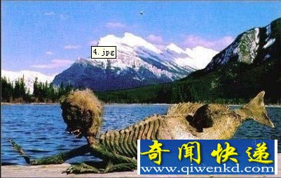 ͼƬʬ壩