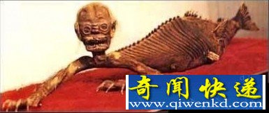 ͼƬʬ壩