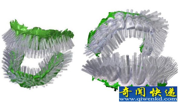 3Dӡˢ  ˢֻ6  ҧҧ