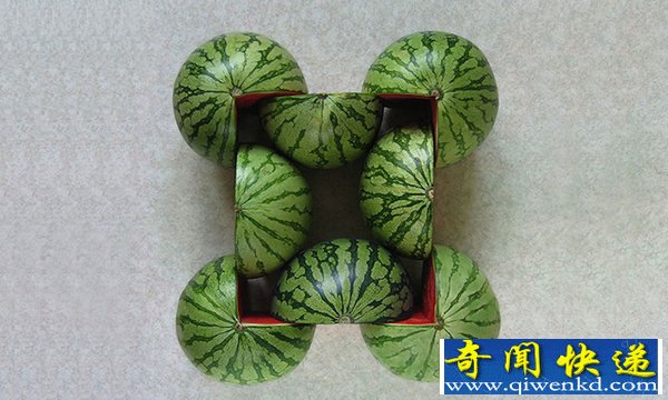 ĿʳＸ