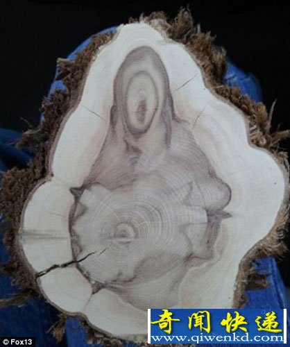 Ӿľֺ桰ʥ