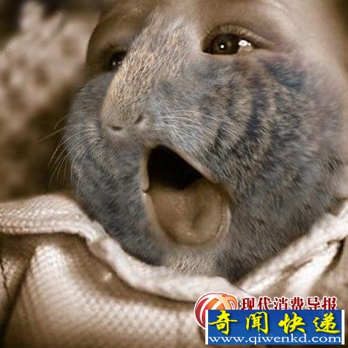 Ӣܽӽ ̥ 