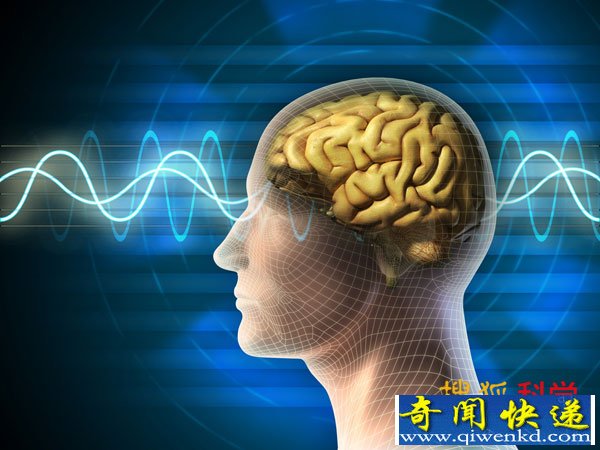 人类在睡眠中大脑能增强记忆