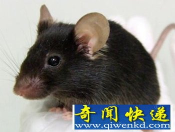 ţᳪ ͬ顰ϳ(ͼ)