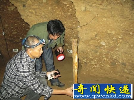秘四川神秘“巨鼠”