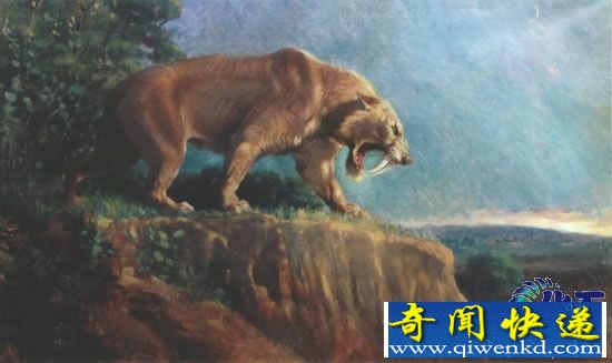 10种动物最有可能从灭绝到复活