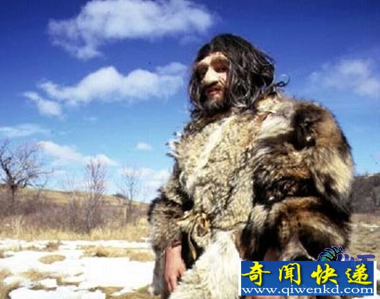 10种动物最有可能从灭绝到复活
