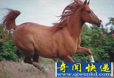 ȫ29èۼ41435Ԫ