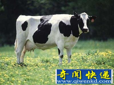 ȫ29èۼ41435Ԫ