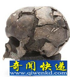 “韦斯特男孩”脆弱的头骨裂成碎片。巴伯尔借助手持激光扫描仪扫描他的头骨,而后制造出这个石器时代男孩的3D模型 (图)刑侦技术还原7500年前15岁男孩容貌