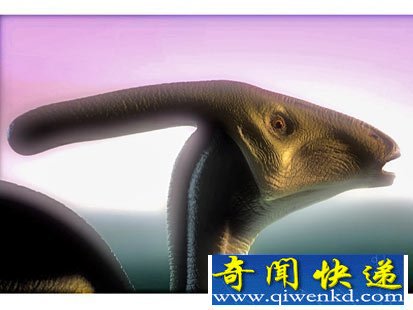 (图)盘点史前5种最奇特恐龙