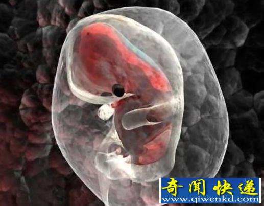 饱受争议的人体科学实验盘点