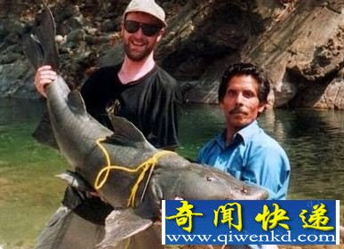 （多图）只对人肉有兴趣的凶残食人鱼类
