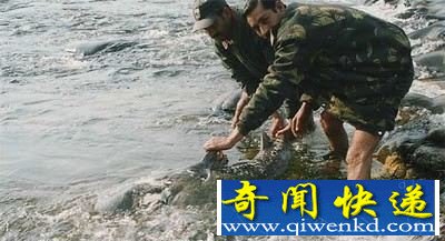 （多图）只对人肉有兴趣的凶残食人鱼类