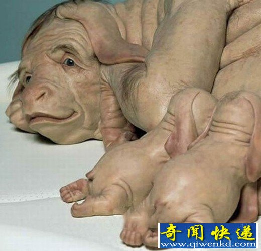Ϸ  㶫ݷ