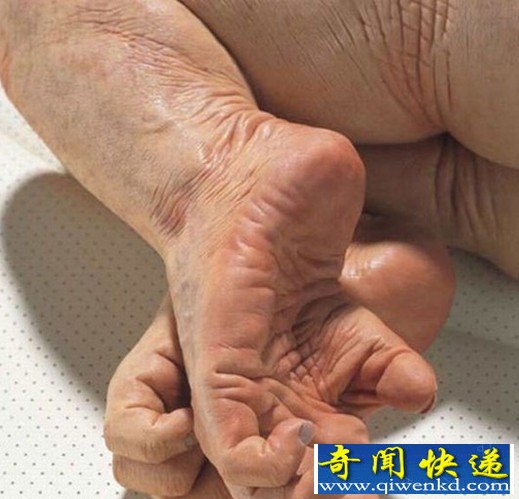 Ϸ  㶫ݷ