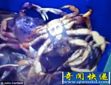 һзͼͷ(ͼ)